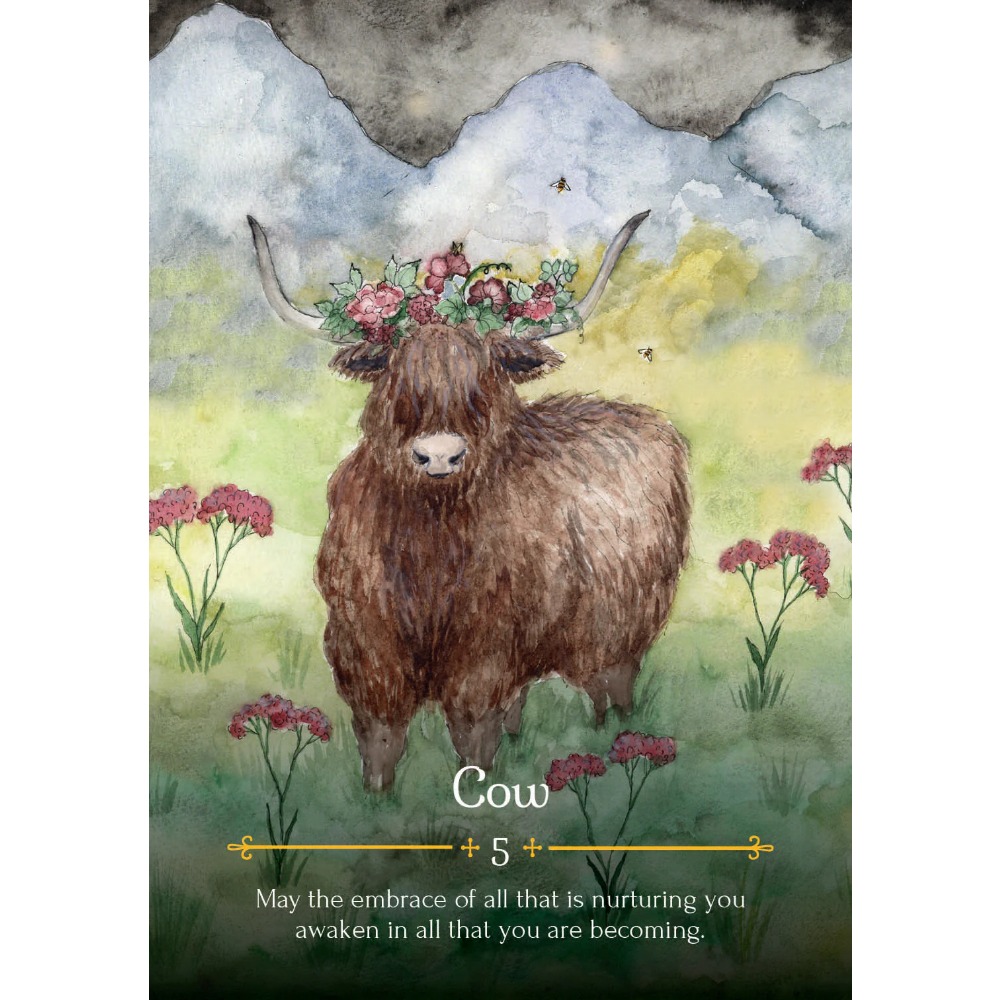 Cadı Oracle kartları Beltane O - Tarot Deck With Guidebook incelemesi ve fiyatı